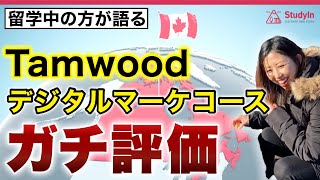 【ガチ評価】TamwoodデジタルマーケティングコースのリアルTamwood Careers [upl. by Otrebor]