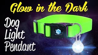 Waterproof Light Up Dog Collar Pendant [upl. by Ahtanoj]