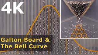 4K  Galton Board amp The Bell Distribution Explained  Math [upl. by Hurless]