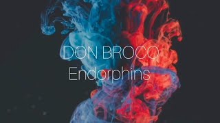 DON BROCOEndorphins Lyrics [upl. by Renaldo]