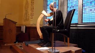 Javier Sáinz early Irish harp HHSI summer concert Kilkenny Ireland 2015 [upl. by Arenahs150]