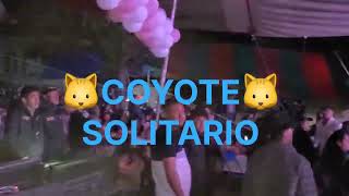 COYOTE SOLITARIO Sta Maria Camotlan 15 Años [upl. by Nnek]