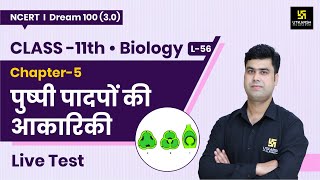 Class 11 Biology Ch 5  पुष्पी पादपों की आकारिकी  Important Questions  L56  Krishnakant Sir [upl. by Leirvag]