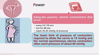 Normal labour  Obstetrics basics of labour and first stage  TBSTB [upl. by Koziara]