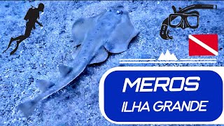 Mergulho em Meros  Ilha Grande [upl. by Susej]