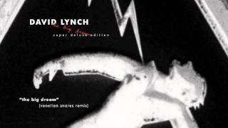 David Lynch  The Big Dream Venetian Snares Remix [upl. by Keese302]