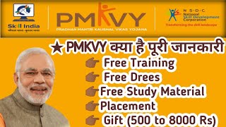 What is PMKVY  PMKVY kya hai  Full information about PMKVY  PMKVY Course list [upl. by Assirk183]