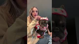 fivebelow fypシ゚viral dogsofyoutube viralshort dogs dogpjs holidays holidayseason cozy [upl. by Isaac]