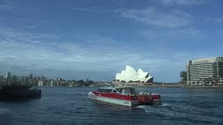 Ferrys near Circular Quay [upl. by Pauwles]