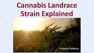 Cannabis Landrace Strain Explained [upl. by Aicelav897]