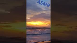 ASMR [upl. by Ranite941]