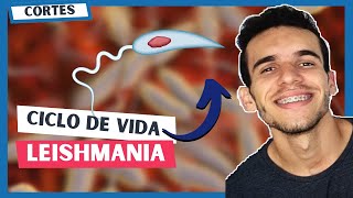 CICLO de vida da LEISHMANIOSE Leishmania🦟  Parasitologia  Luix Nascimento Biologia [upl. by Ij]