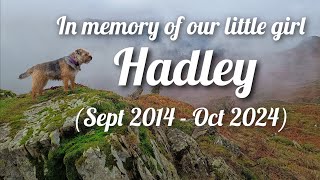 RIP HADLEY OUR BELOVED LITTLE GIRL [upl. by Gaskins]