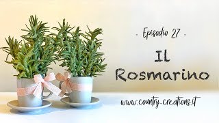 🌿 Il Rosmarino 🌿 [upl. by Madelle536]