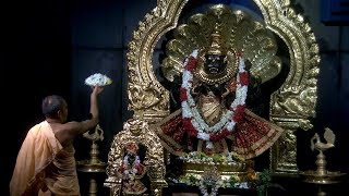 Narasimha Aarti June 08 2019 [upl. by Hanway]