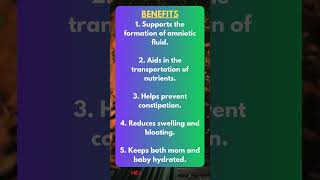 Benefits of Drinking Water During Pregnancy [upl. by Nnahsal]