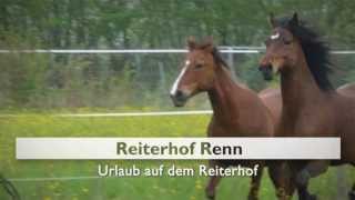 Reiten in Rheinland Pfalz Ferienwohnung Limburg an der Lahn Reiterhof Renn [upl. by Drawyeh426]