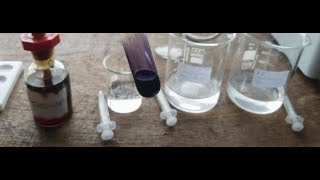 Required Practical Amylase Rate of Reaction when changing pH AQA 91 Biology [upl. by Ahsram]