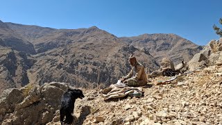 Iran nomadic life Jahangirs journey to the new pastures of the mountains to graze sheep [upl. by Burnside]