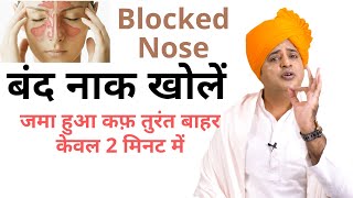 बंद नाक खोलें जमा हुआ कफ़ तुरंत बाहर Open Blocked Nose  Sanyasi Ayurveda [upl. by Lampert]