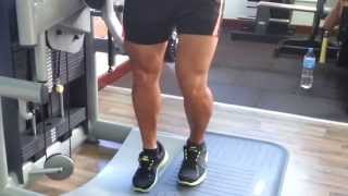 Vastus Medialis amp Vastus Lateralis  Leg exercise [upl. by Arramas]