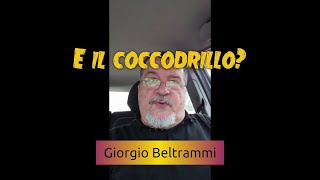 E il coccodrillo come fa [upl. by Guillemette]