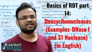 Basics of RDT part 14 Deoxyribonucleases ExamplesDNase I and S1 Nuclease [upl. by Ailic]