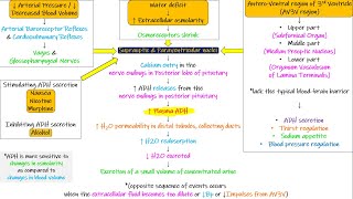 OsmoreceptorADH Feedback System Chapter 29 part 6 Guyton and Hall Physiology [upl. by Sage]