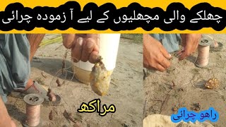 chilkey wali machlio k liye best charai nuskhafisher catch two live fisheslive fishing chaall [upl. by Mosra]