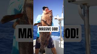 1 METRE COD fishingvideo fishing fish [upl. by Raimundo859]