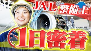 JAL航空整備士に密着！リアルな働き方が明らかに…【1日密着】 [upl. by Nonarb]