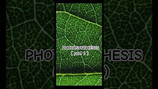 Photosynthesis🪴 biologyphotosynthesisbotanyindiaviraleducationncrtcinformationfacttrendit [upl. by Harding]