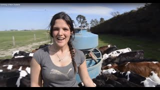 Farming in New Zealand [upl. by Nivat]