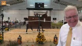 Ohio Selected Jug Sale Circleville OH Sept 2024Sep13125421mp4 [upl. by Ddarb]