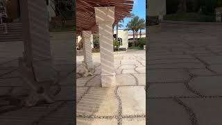 Regency Plaza Aqua Park amp Spa 5 обзор египет sharmelsheikh часть 1 [upl. by Warthman]