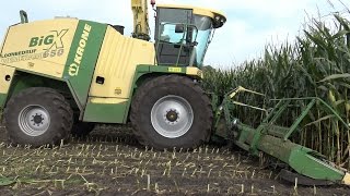 Wemekamp met Krone BigX 650 en John Deere 7930 en 6910 in de mais 2015 [upl. by Anzovin]