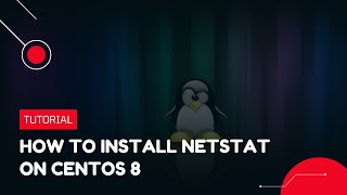 How to install Netstat on CentOS 8  VPS Tutorial [upl. by Drescher327]