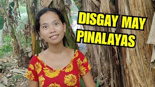 PROJECT SA LUPA NILA DISGAY [upl. by Emlen44]