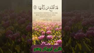 Qari Abubakar bhutto ytshort shortvideo yt qurantilawat islamicvideo shortsyoutube viralvideo [upl. by Eizle978]