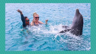 Rondleiding en Introduction Swim bij Curaçao Dolphin Therapy Center 🐬  Manon van den Heuvel CC [upl. by Thornton]