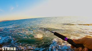 Lucana komodo rod  Reel experience  Catching trevally on jigs and zman shads Shore jigging [upl. by Caspar]