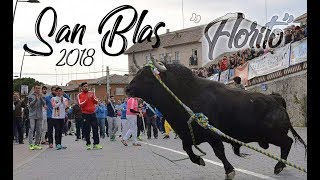 quotFloritoquot Toro Enmaromado en honor a San Blas YUNCOS 2018 [upl. by Sandy]