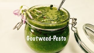 Homemade Fresh Goutweed Pesto Sauce  Wild Herbs  Vegan  Fast and Easy [upl. by Parsaye641]