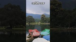 offbeatnorthbengal offbeatdarjeeling rohini darjeeling travel solotrip [upl. by Julian]