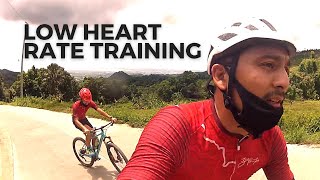 Maffetone Low Heart Rate Cycling Training After One Month [upl. by Akenahc]