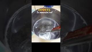 Making oodles in Immersion rod  Hostel Series  Hostel hacks 🍜 hostel food maggi shorts reels [upl. by Nelad131]