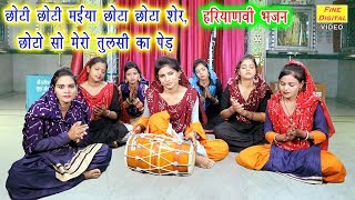 छोटी छोटी मईया छोटा छोटा शेर छोटो सो मेरो तुलसी का पेड़  Haryanvi Bhajan  Rekha Garg [upl. by Revlys]