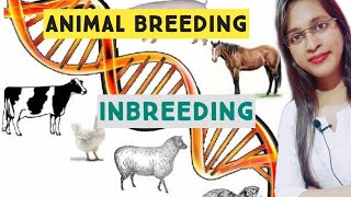 Animal Breeding Inbreeding  full notes  Animal Husbandry [upl. by Henriques126]