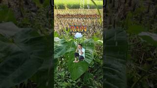 Rain creative videography [upl. by Fulvia]