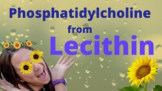 Phosphatidylcholine from Lecithin Brain SUPER Food [upl. by Haim]